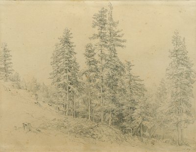 asil diş by Joseph Martin Höger