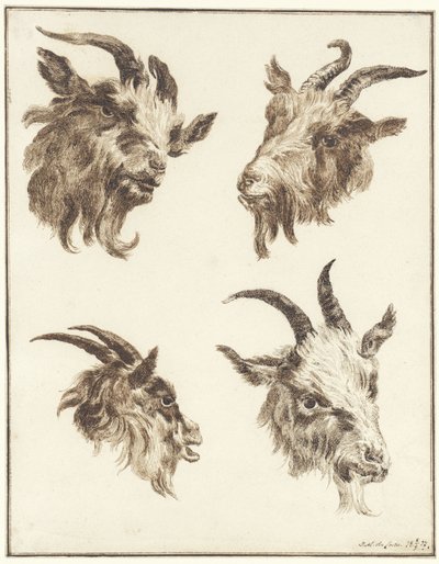 Keçi kafalarıyla ilgili dört çalışma by Joseph Mendes da Costa