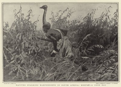 Güney Afrika