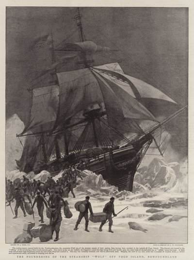 Newfoundland, Fogo Adası'ndaki Kurt Vapurunun Kurucusu by Joseph Nash