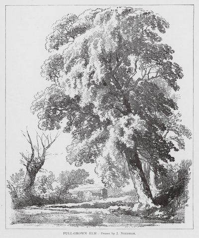  by Joseph Needham