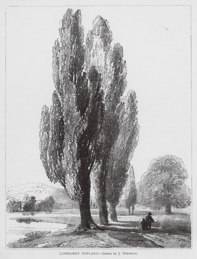  by Joseph Needham
