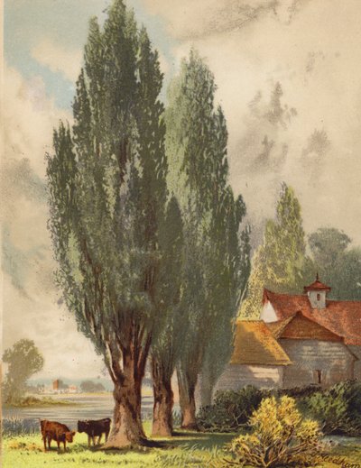 by Joseph Needham