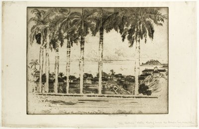 Piskoposlar Yürüyüşü, Ancon Tepesi, Panama by Joseph Pennell