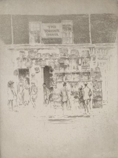 Yorkshire Teriyeri, 1903. by Joseph Pennell