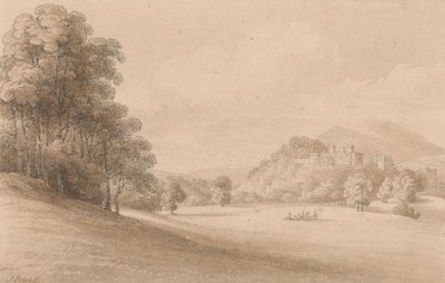 Dunster Kalesi, Somerset: Uzaktaki Kaleyi Gösterme by Joseph Powell