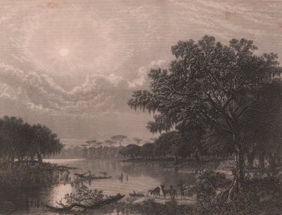 Louisiana Bayou, Amerika Birleşik Devletleri, Joseph Rusling Meeker'in (1827-1889) tablosundan sonra Robert Hinshelwood'un (1812-1875'ten sonra) çelik gravürü, yaklaşık 16x18 cm by Joseph Rusling Meeker