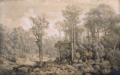 Avustralya ormanı by Joseph Selleny