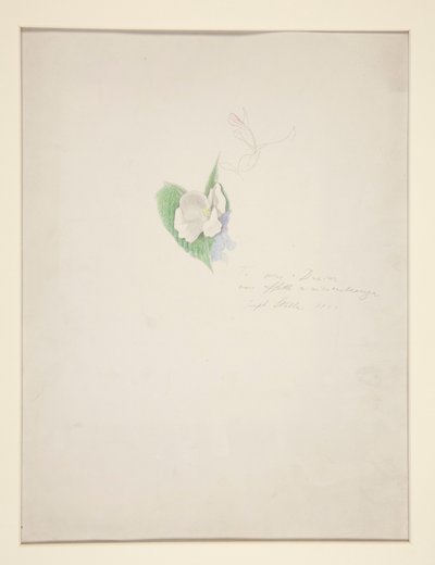 Çiçek by Joseph Stella