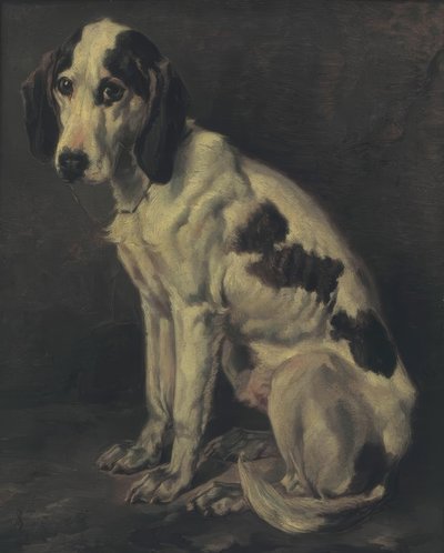 eski yarışmacı by Joseph Stevens