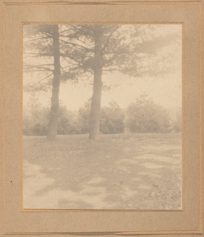 Ağaçlı peyzaj, c. 1900. by Joseph Turner Keiley