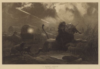 Bir Gece Saldırısı by Joseph Wolf