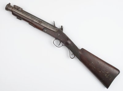 İrlanda Gönüllülerine verilen yaylı süngü ile Blunderbuss, c.c.1815 (blunderbuss, çakmaktaşı) by Joseph Wood