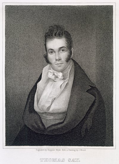 Thomas Say (1787-1834), Henry Hoppner Meyer (1787-1847) tarafından oyulmuş by Joseph Wood