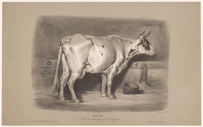 Bir ahırda inek Vache (nesne üzerindeki başlık) İki tür tebeşirde hayvan çalışmaları (dizi başlığı) Etude aux deux boya kalemleri par Z. Gengembre (nesne üzerinde seri başlığı) by Joseph Zephyris Gengembre
