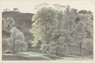 Subiaco çevresindeki ağaçlar by Josephus Augustus Knip