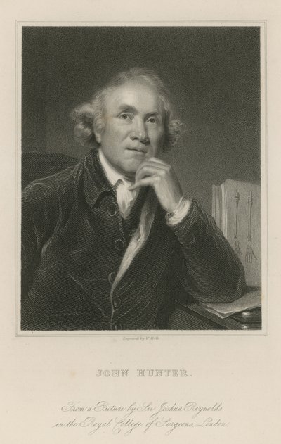 John Avcı by Joshua Reynolds