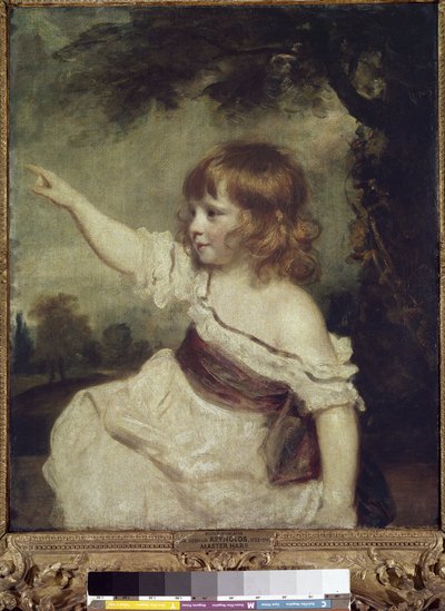 Usta Tavşan (Francis George Hare (tuval üzerine yağlı boya) by Joshua Reynolds