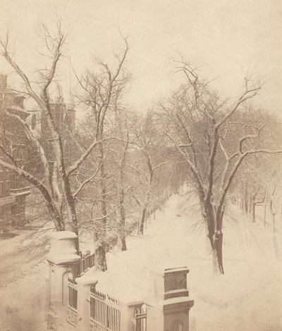 Boston Common Kar Sahnesi,1850