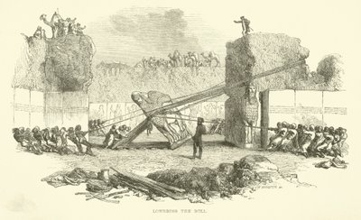 Boğayı indirmek by Josiah Wood Whymper