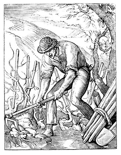 The Winegrower (lito) (s/b fotoğraf) by Jost (after) Amman