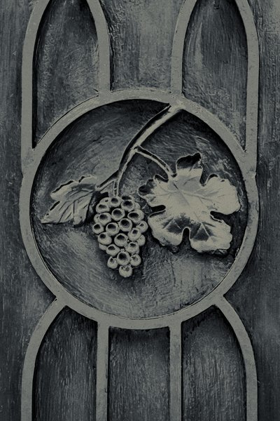  by Joy Lions