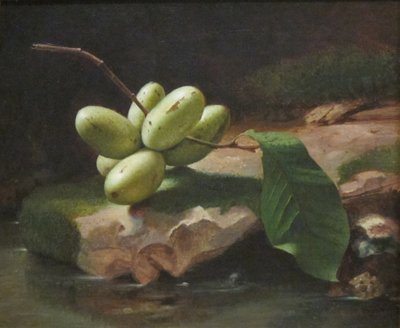 Paw Paws ile Natürmort by Jr. Edward Edmondson