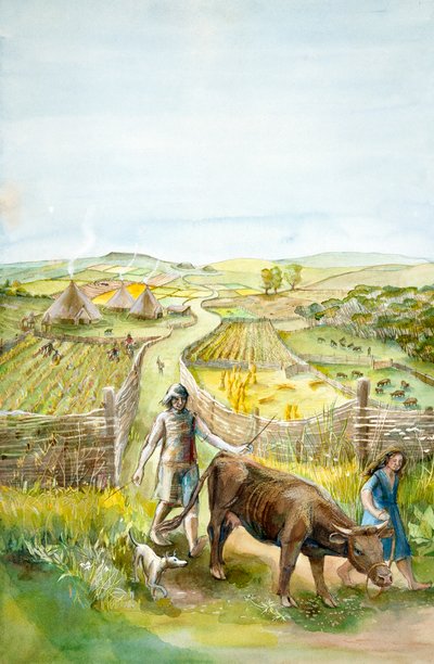 Kırsal peyzaj, 2000BC, c1990-2010 by Judith Dobie