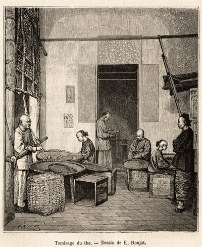 Barutun, Fati Körfezi