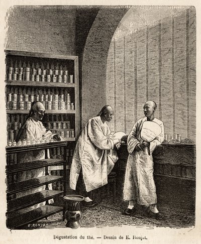 Çayın tadımı, Fati Körfezi