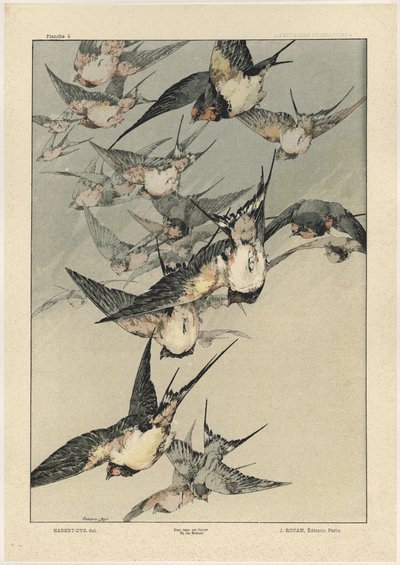 Kuşlar, 'Fantaisies dekoratiflerinden' plaka 5, Gillot tarafından oyulmuş, Jules Rouam tarafından yayınlanmıştır, Librairie de l'Art, Paris, 1887 (renkli gravür) by Jules Auguste Habert Dys