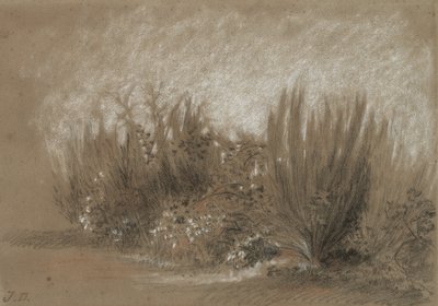 Süpürge ve Brambles by Jules Dupré