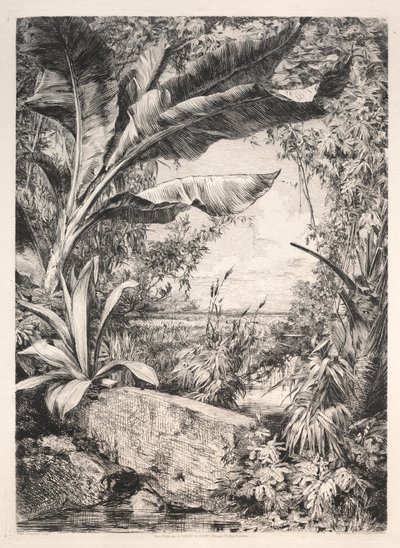 Sera Bitkileri, 1872. by Jules Ferdinand Jacquemart