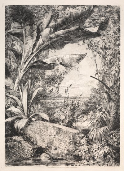 Sera Bitkileri by Jules Jacquemart