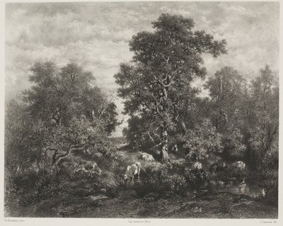 Gölet, Théodore Rousseau