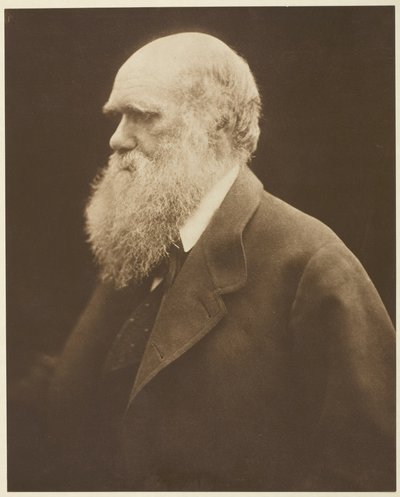  by Julia Margaret Cameron