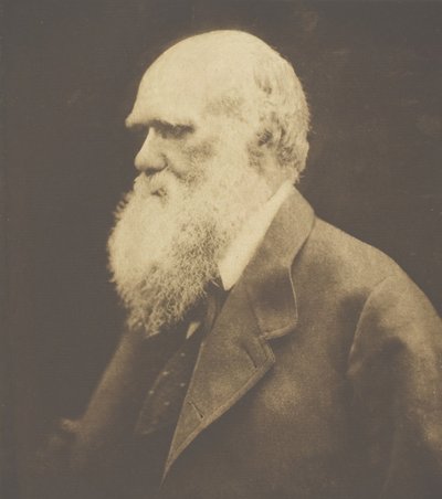 Charles Darwin, 1868, basılmış c. 1893. by Julia Margaret Cameron