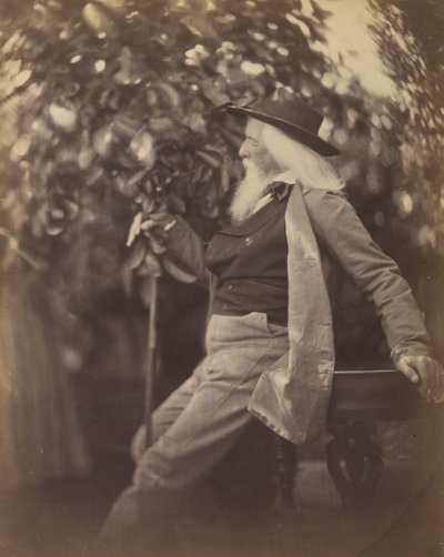 Charles Hay Cameron, Av., Tatlı Sudaki Bahçesinde, 1865-67. by Julia Margaret Cameron