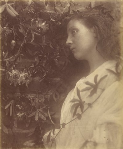  by Julia Margaret Cameron