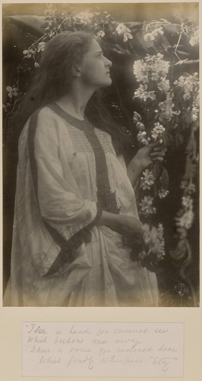  by Julia Margaret Cameron
