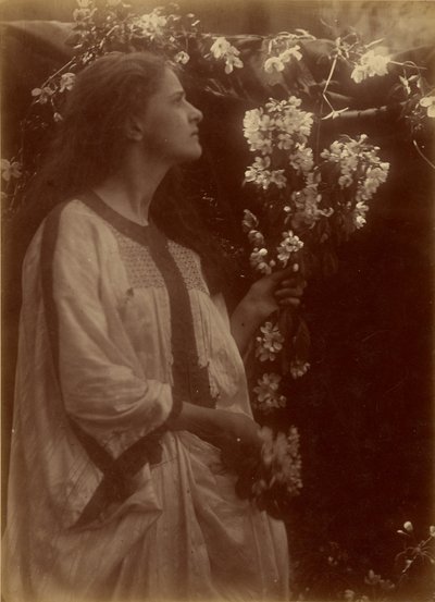  by Julia Margaret Cameron