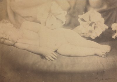Zambak ve Kuzu, c. 1865. by Julia Margaret Cameron