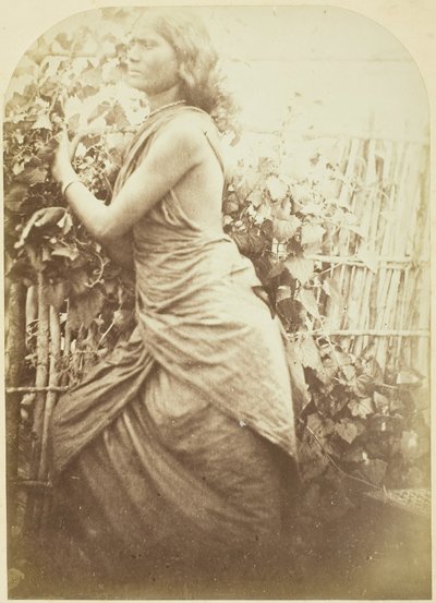 Kadın, Seylan, 187579. by Julia Margaret Cameron