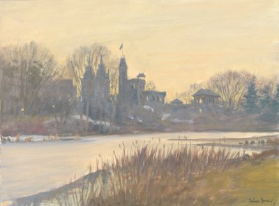 Belvedere kalesi, Central Park, 2010 by Julian Barrow