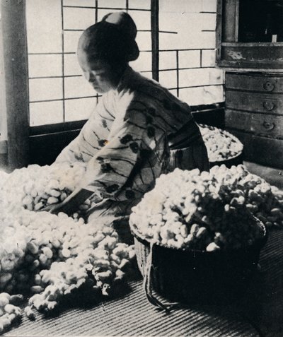 5000 ipekböceği, 8 çile ipek için 125 libre dut yer, bir kimono yapar, c1900, 1921 by Julian Leonard Street