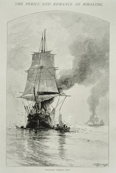 Century Magazine, Ağustos 1890