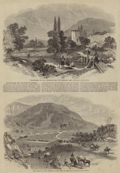Mersin balığı ve Hırsız Geçidi by Julian Portch