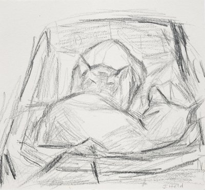 Kediler, 2015 by Julie Held