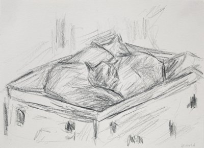 Cats Nestling, 2015 (pencil) by Julie Held