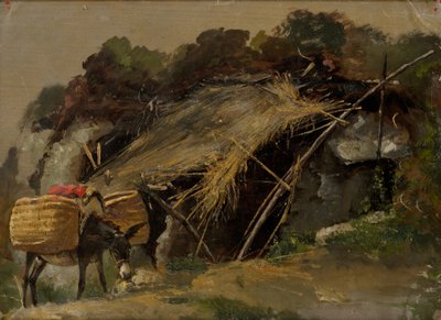  by Julie Wilhelmine Hagen Schwarz